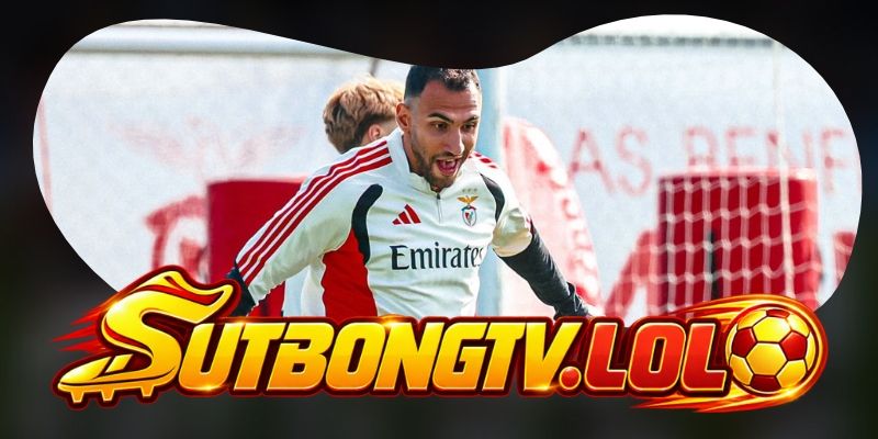 Gợi ý chốt kèo tổng hợp trận Santa Clara vs Benfica ngày 27/10
